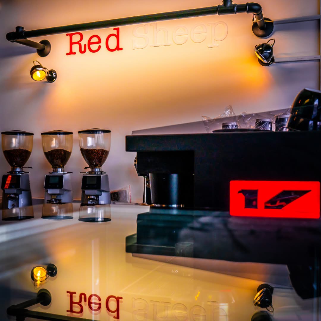 Red Sheep barista inside the store